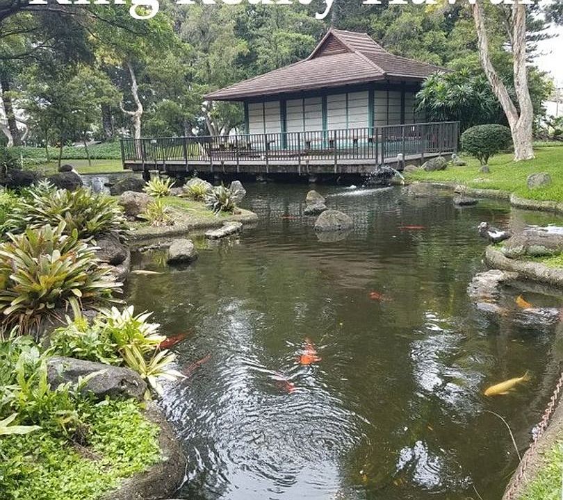 1st image of 1519 Nuuanu Ave Unit 143