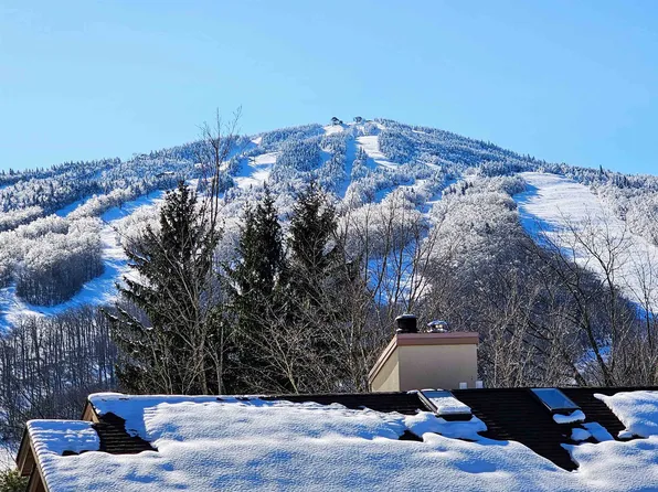 5 G Mountain Village #127, Dover, VT 05356