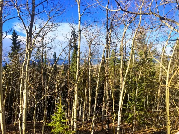 250 Wikiup Cir, Como, CO 80456