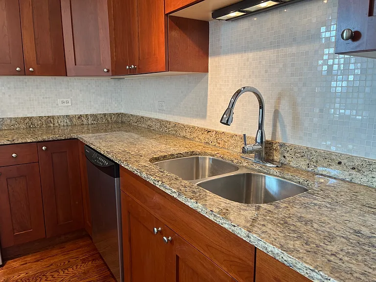 974 W 35th Pl #701 — Photo 9