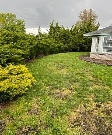 901 Rebecca Dr — Photo 2