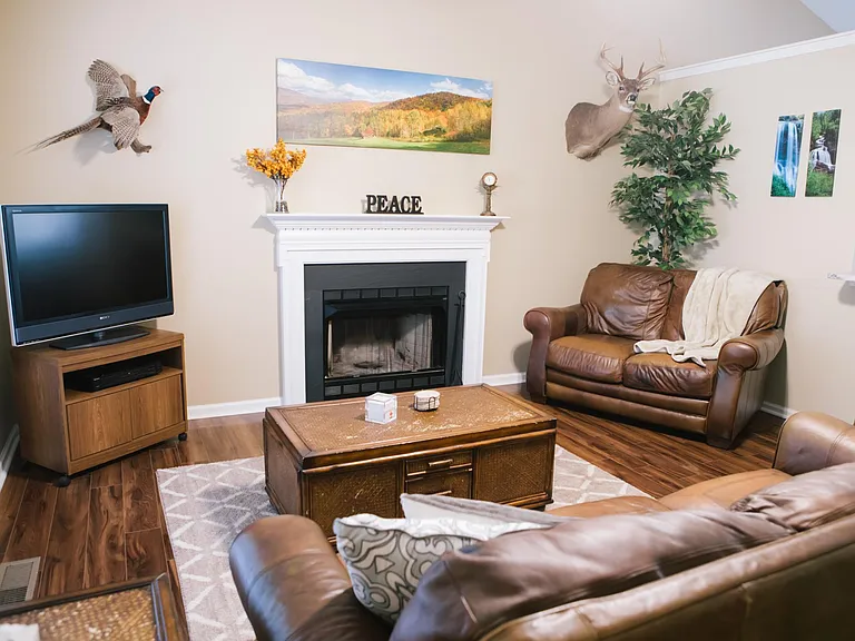 7000 Sandy Pines Dr — Photo 14