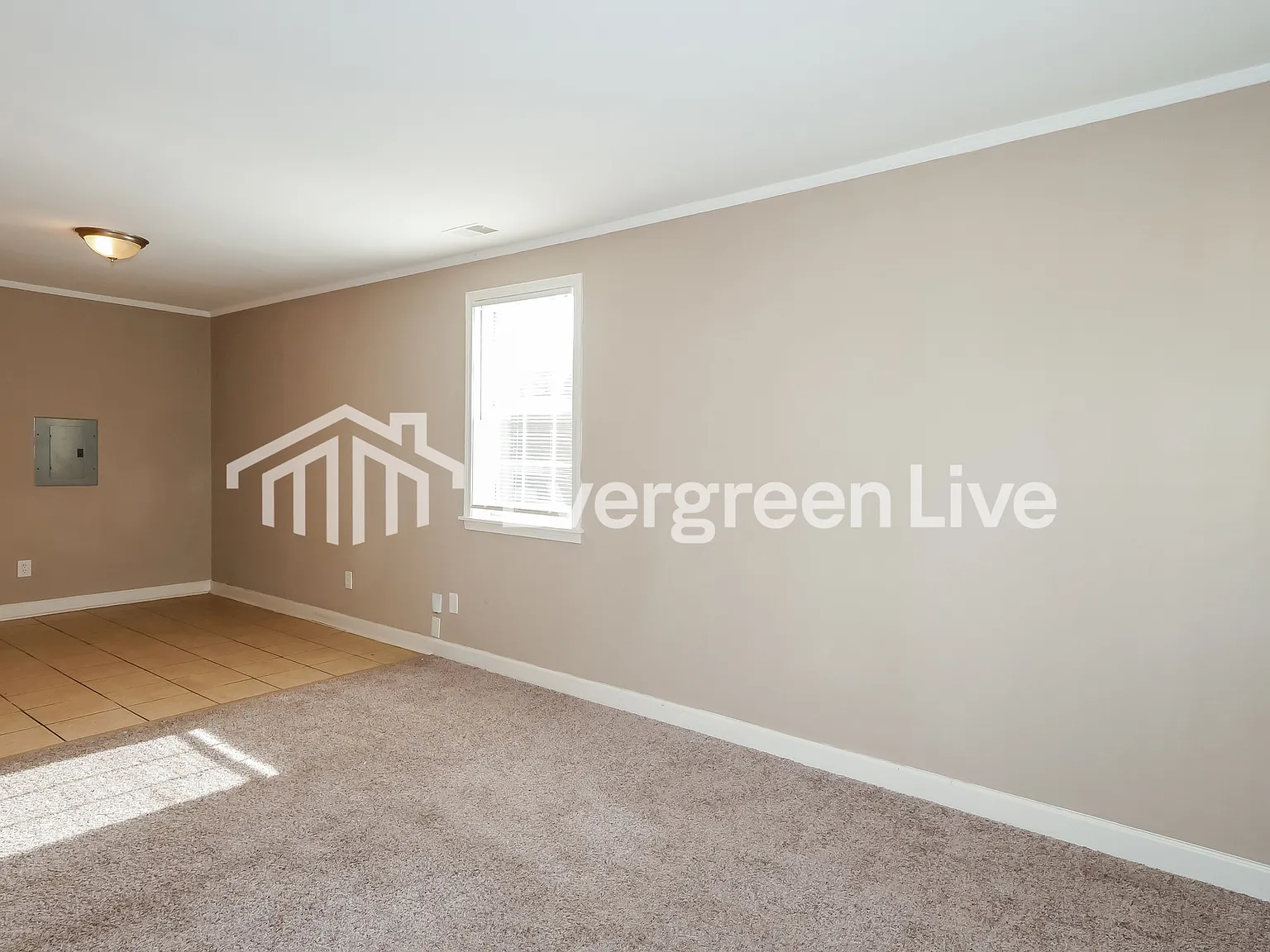 3 bed, 1.0 bath, 962 sqft, $995 — Photo 4