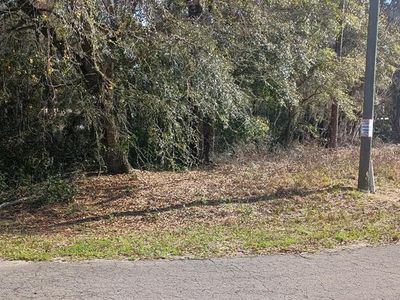 0 Guava Lane Trak #1, Ocklawaha, FL, 32179