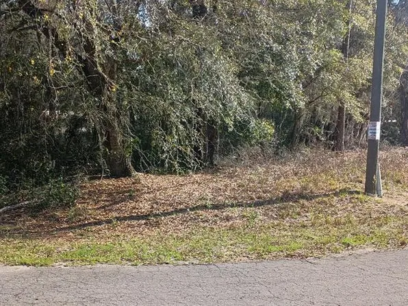 0 Guava Lane Trak #1, Ocklawaha, FL 32179