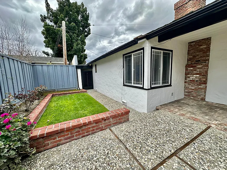 Rear Yard