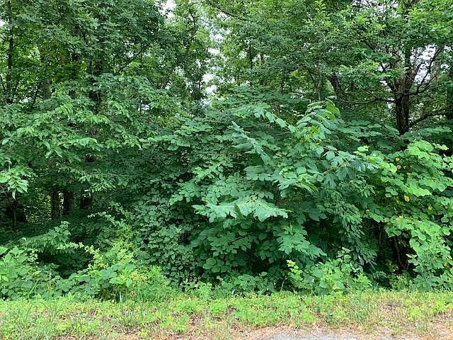 1st image of 28 Booker Rd Lot 28