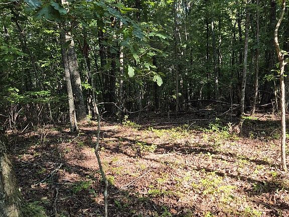5th image of 436 Ridge Wood Ln Lot 436