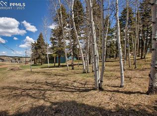 571 Will Scarlet Dr, Divide, CO 80814