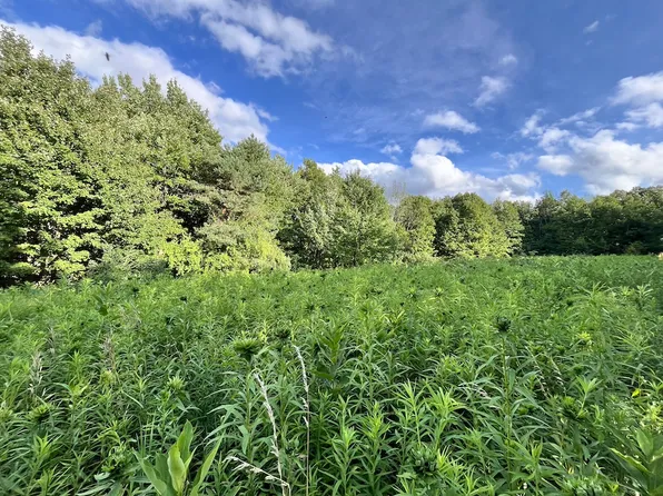 N Greenbush Rd Lot Wp012, Erin, NY 14838