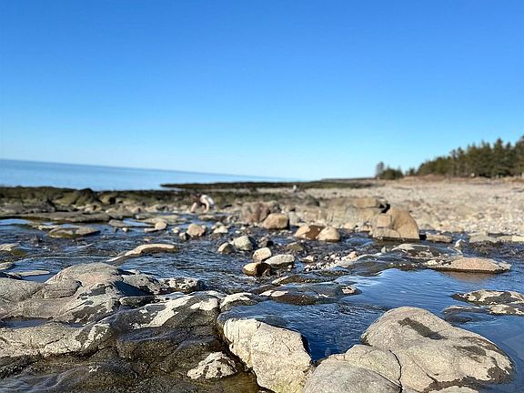 3rd image of 102 Shore Rd W