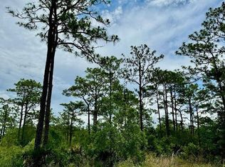 Topeka Avenue Lot #C, Saint Cloud, FL 34773