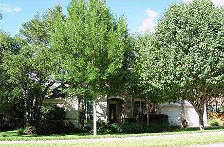 2nd image of 1615 Mesa Verde Dr