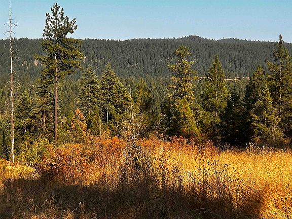 5th image of 4330192100 Horseshoe Lake Rd