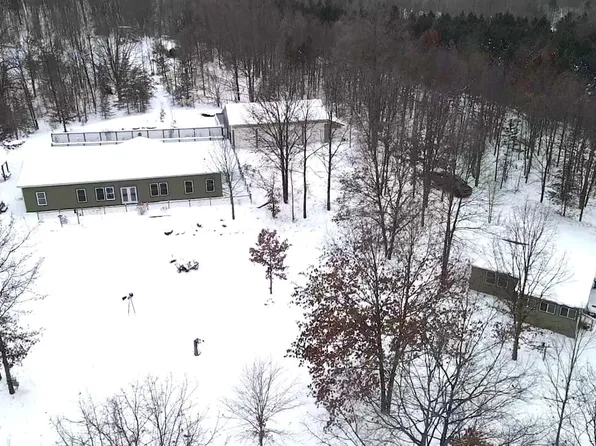 7393 W Moorestown Rd, Manton, MI 49663