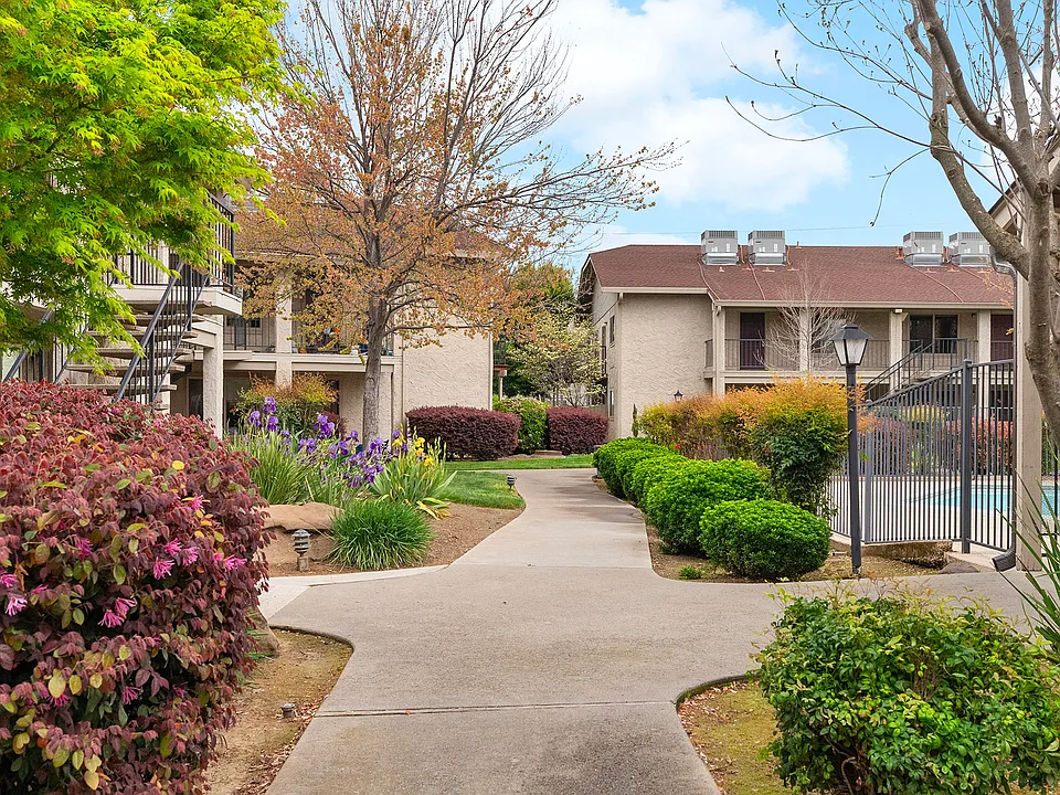 Cedar Springs Apartments & Estates