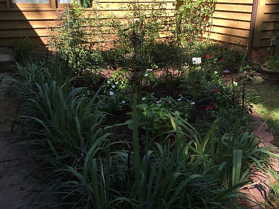 Roses, Irises and more
