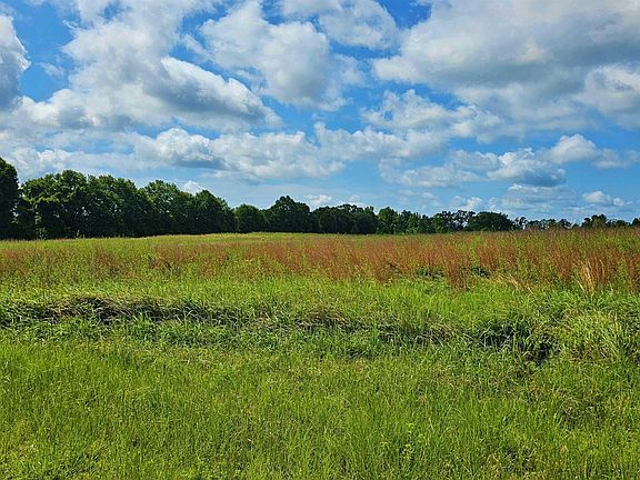3rd image of 22880 Old Weekley Rd