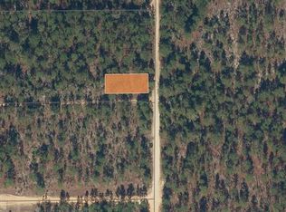 175 Park Ave LOT 78, Interlachen, FL 32148