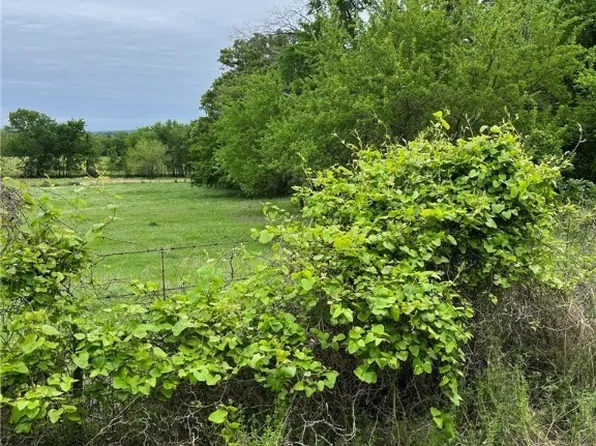 TRACT 6 State Highway 63, Blanco, OK 74528