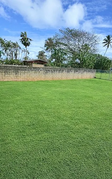 Back Yard with BBQ