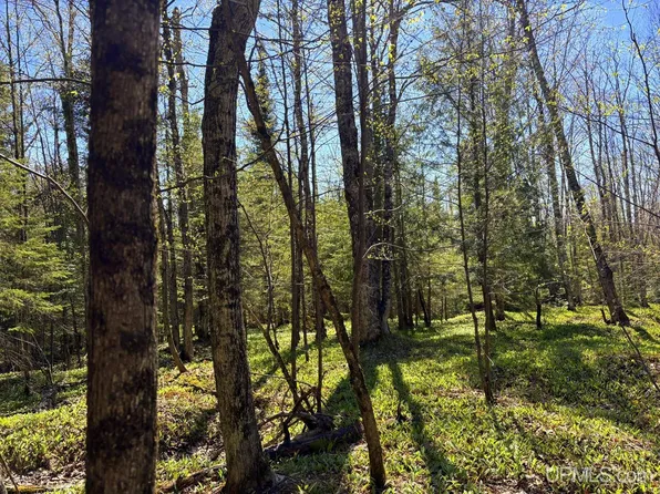 Townline Rd, Marquette, MI 49855