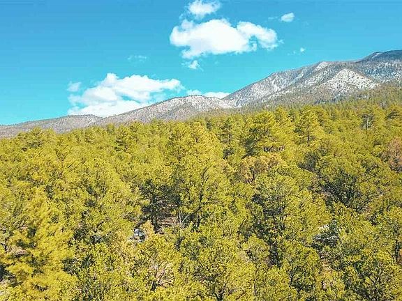 2nd image of LOT 41 Lower Pinabete Rd