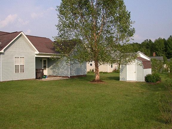 Rear of House with Shed