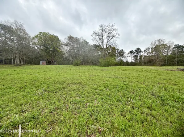 0 Palestine Rd, Picayune, MS 39466