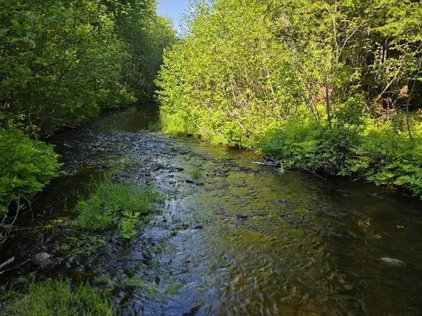 Lot 10 Davis Brook Road, Amity, ME 04471