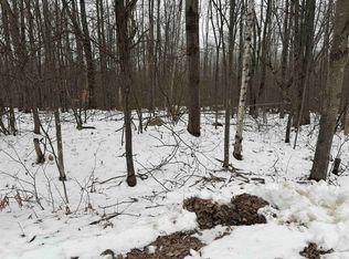 LOT 1284 Red Fox Run, Farwell, MI 48622