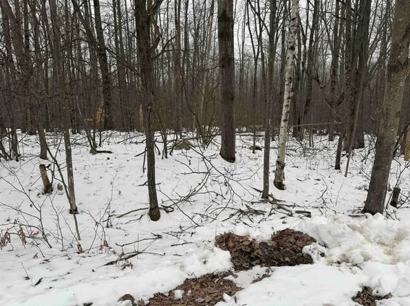 LOT 1284 Red Fox Run, Farwell, MI 48622