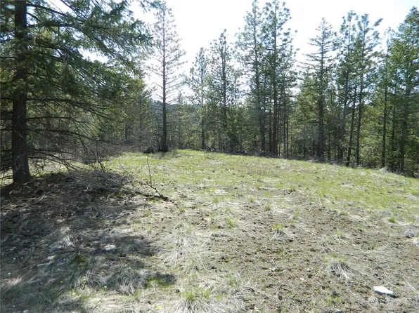 111 TBD Turtle Lake Road, Tonasket, WA 98855