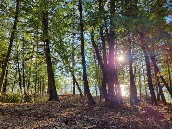 7428 N Pointe Shores Dr, Alpena, MI 49707