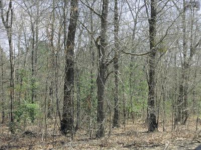 25 Marshbrook Ct, Hopkins, SC, 29061