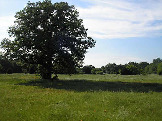 1st image of 7480 County Road 4095