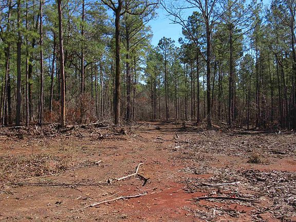 3rd image of 105.4 State Highway 84 #C