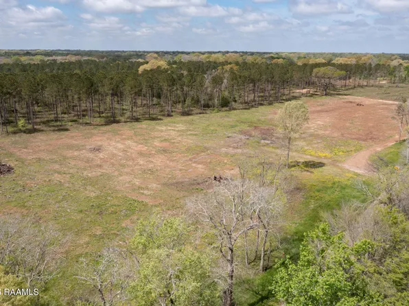 State Highway 103 Lot 4, Washington, LA 70589