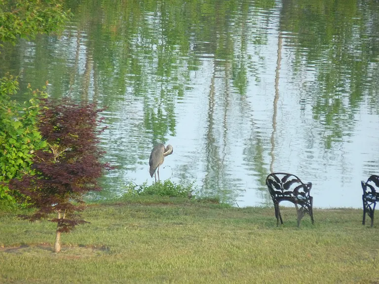 Wildlife everywhere!
