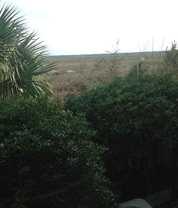 4th image of 365 Moss Oak Cir #365