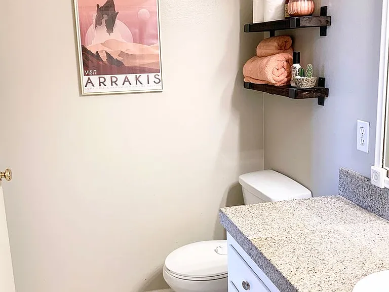 721 Amigos Way — Photo 11