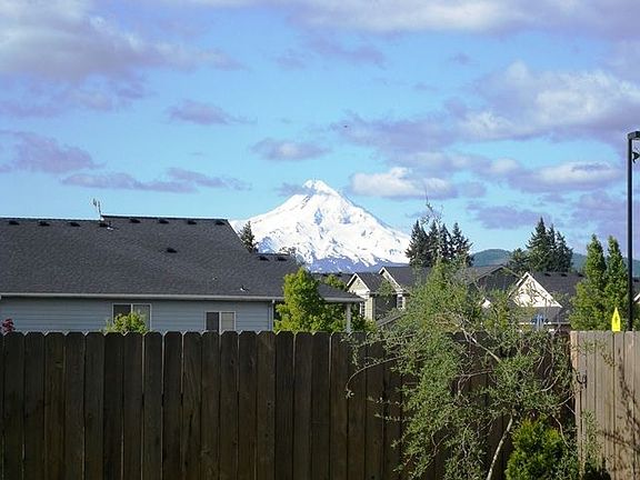 Mt. Hood View