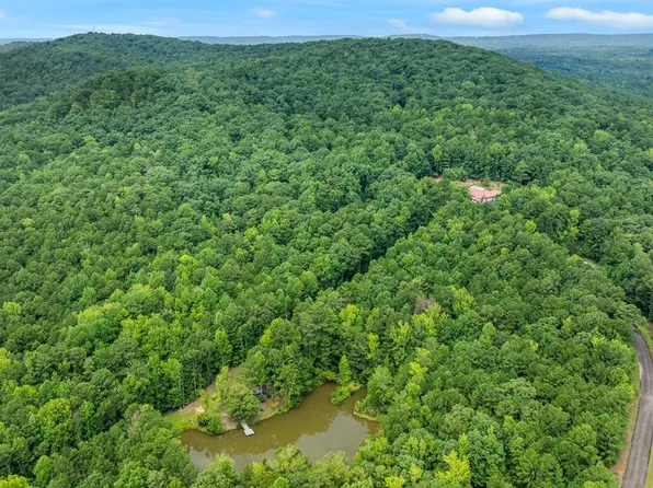 0 Johnson Mill Rd, Hamilton, GA 31811