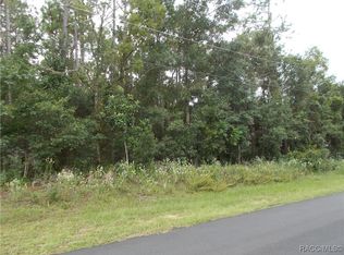 370 E Liberty St, Hernando, FL 34442