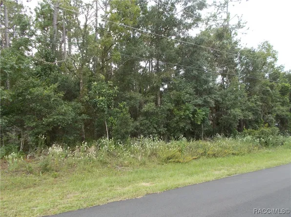 370 E Liberty St, Hernando, FL 34442