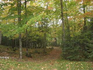 Land and pathway to the Turtle River