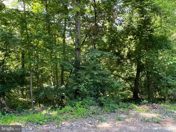 Valley Farms Rd, Front Royal, VA 22630