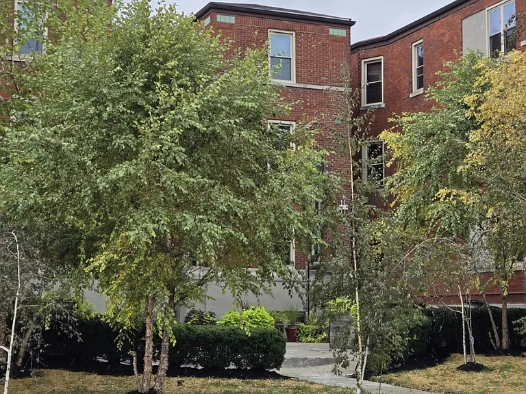 342 Forest Ave #C1 — Photo 30