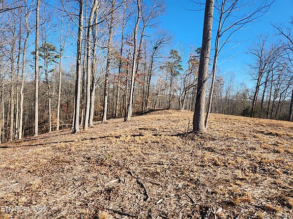 4th image of LOT 52 E Poplar Ln