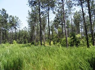 1 Mack Edisto Road Ext, Swansea, SC 29160